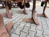 PictureAltAttribute - IMG-8384-2-JPG